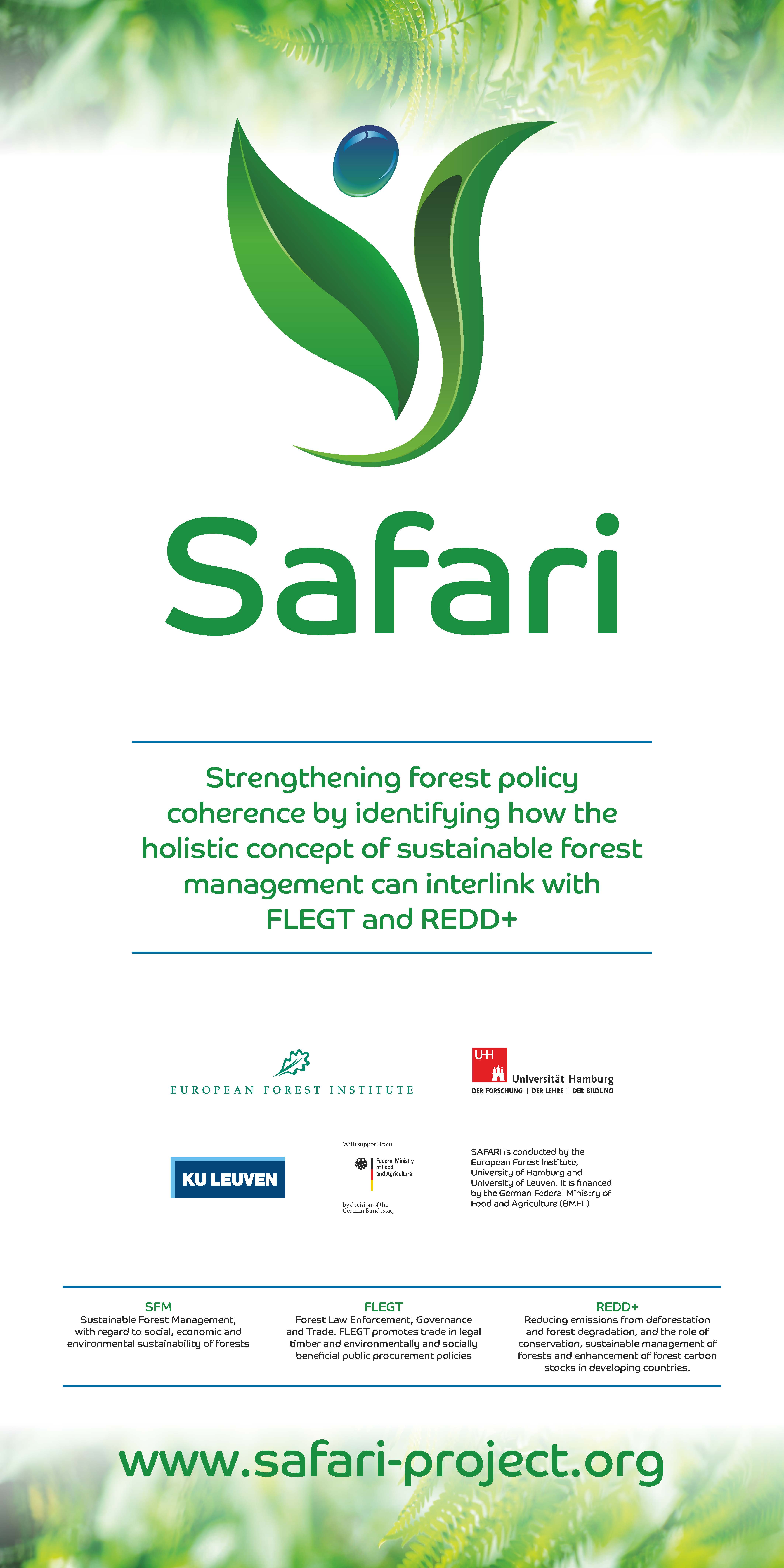 EFI_Safari_project_roll-upit_1000x2000mm_17_11_07_FINAL (1)_Page_1